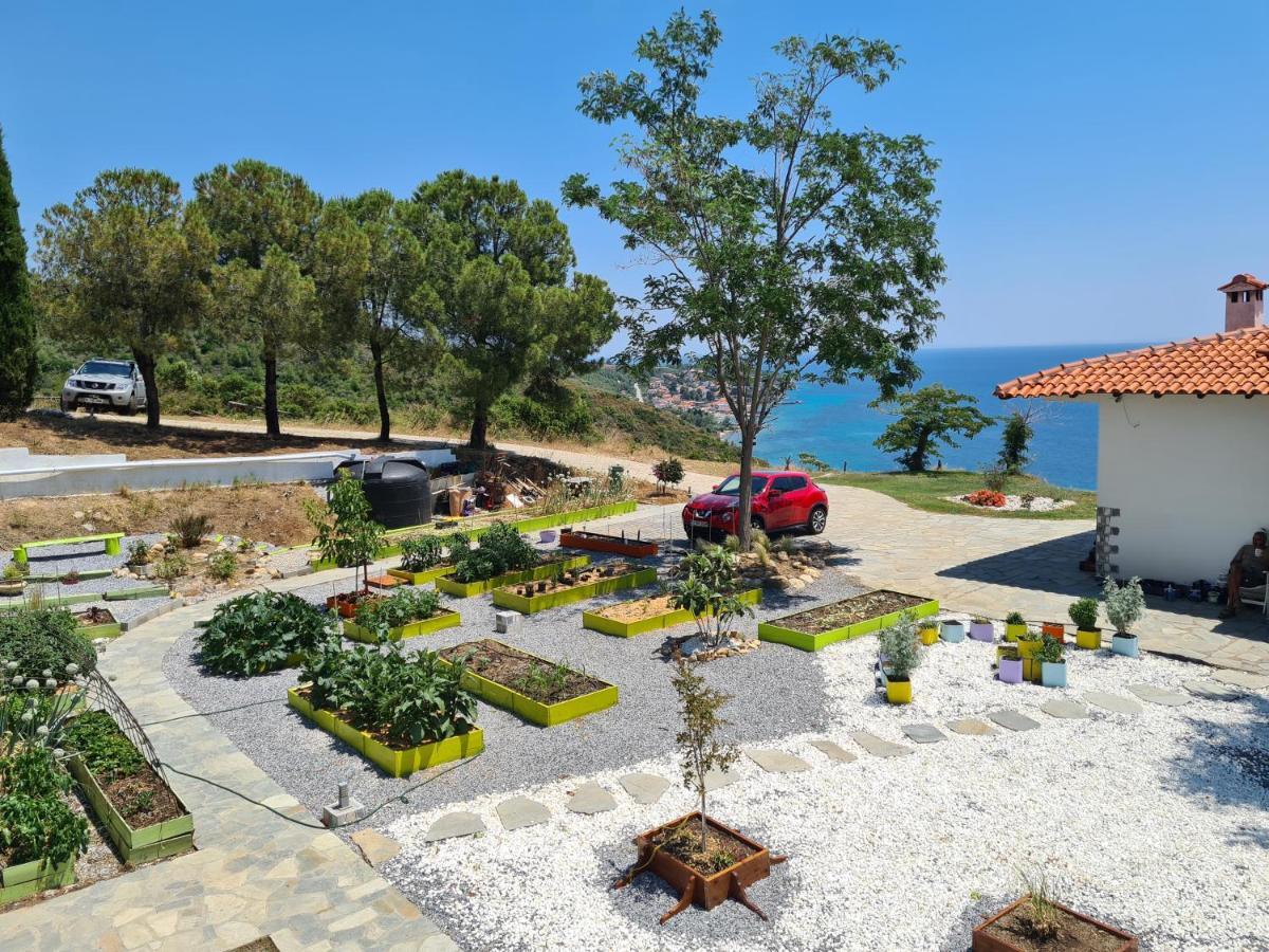 Greco Paradise Suites - Adult Only Nea Skioni Buitenkant foto